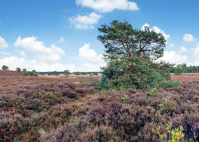 Stunning Stacaravan In 3*