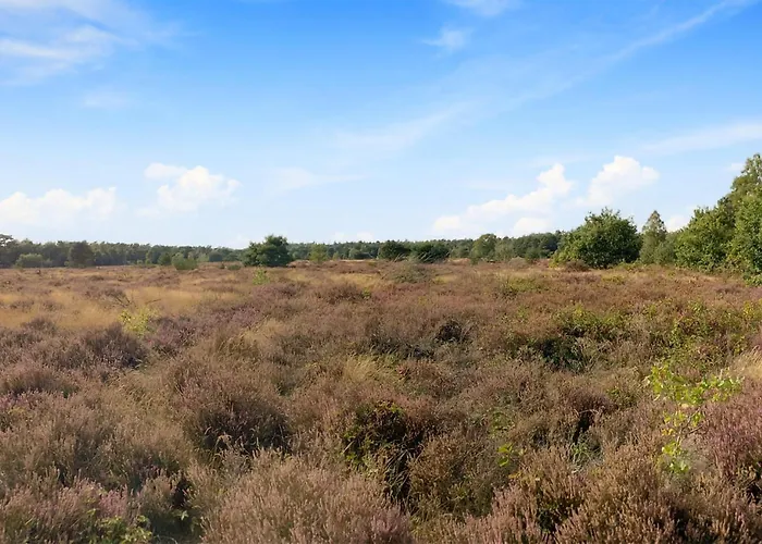 Κάμπινγκ Stunning Stacaravan In 3*